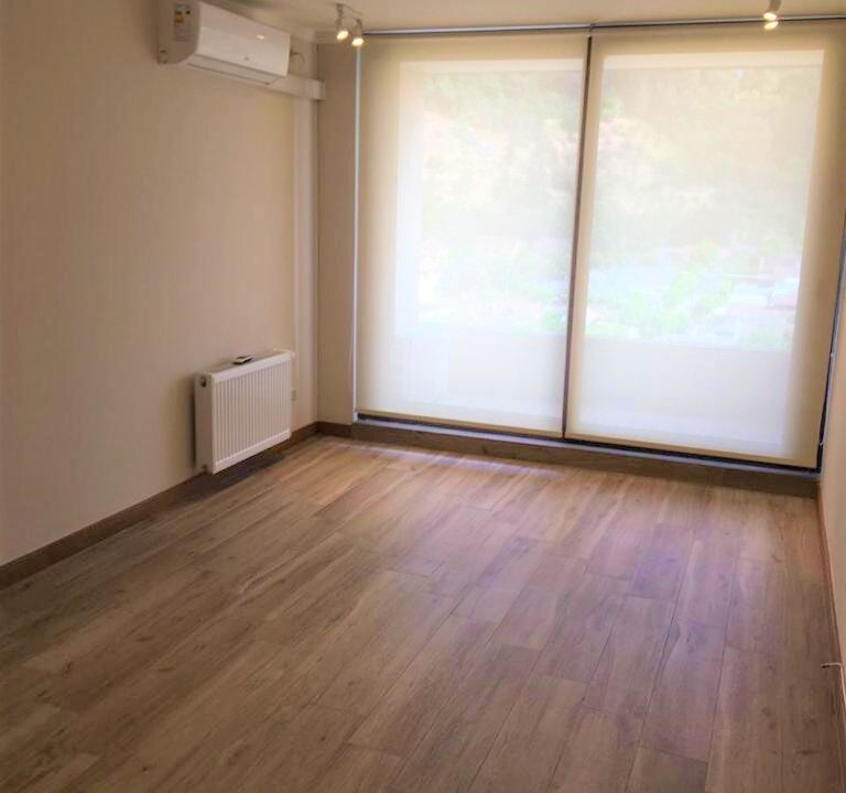 Living-comedor